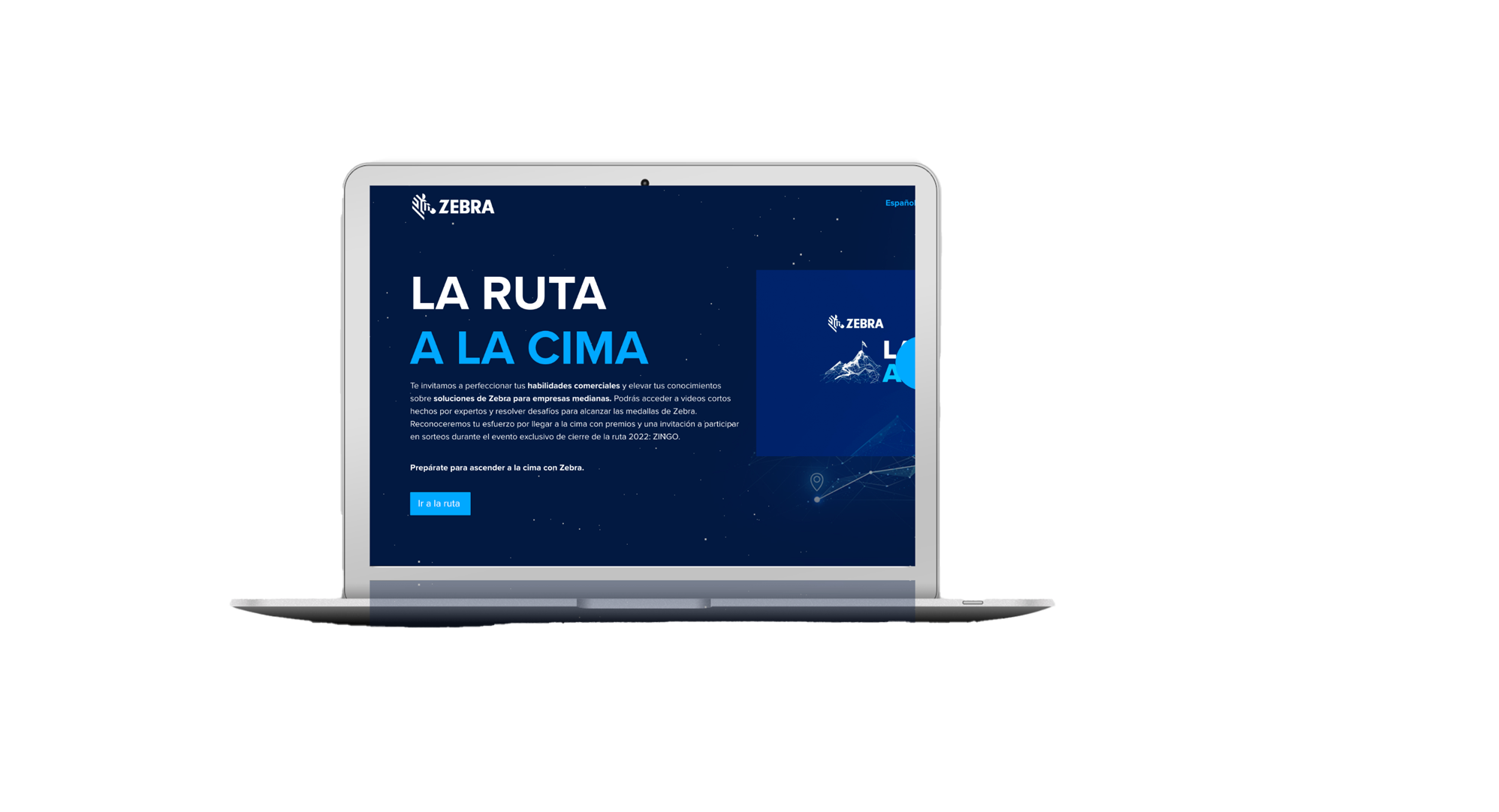Zebra-La Ruta de la Zebra-1